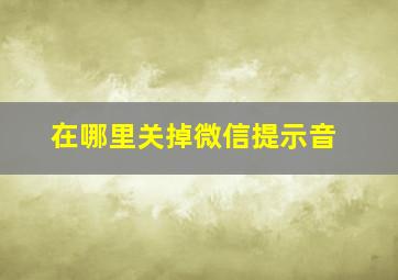 在哪里关掉微信提示音