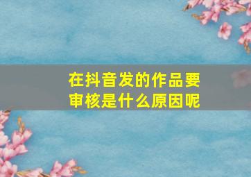 在抖音发的作品要审核是什么原因呢