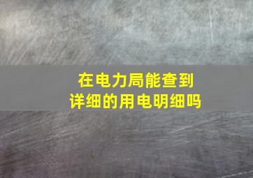 在电力局能查到详细的用电明细吗