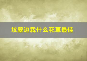 坟墓边栽什么花草最佳