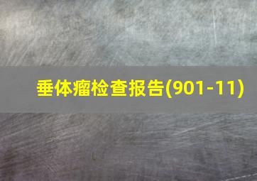 垂体瘤检查报告(901-11)