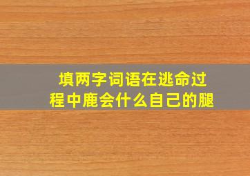 填两字词语在逃命过程中鹿会什么自己的腿