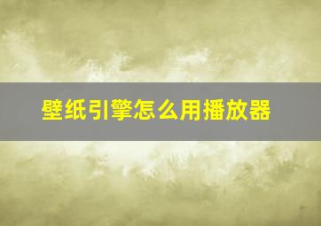 壁纸引擎怎么用播放器