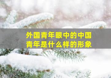 外国青年眼中的中国青年是什么样的形象