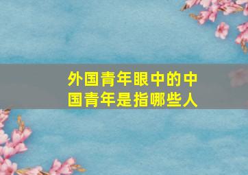 外国青年眼中的中国青年是指哪些人