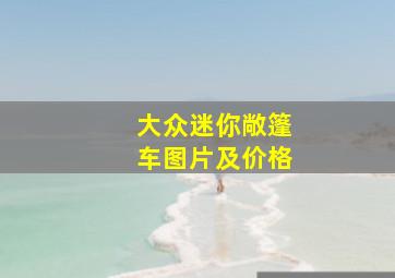 大众迷你敞篷车图片及价格