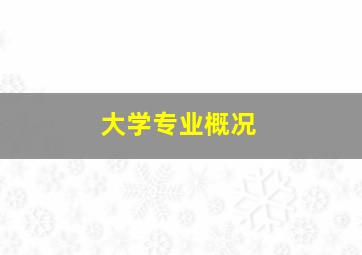 大学专业概况