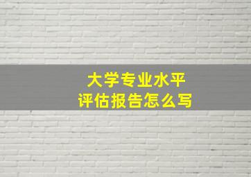 大学专业水平评估报告怎么写