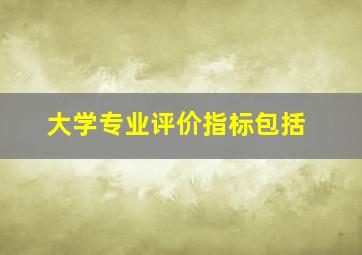 大学专业评价指标包括