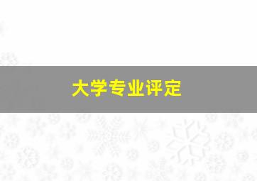 大学专业评定