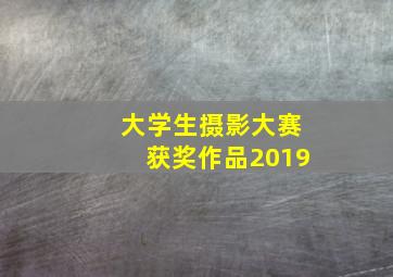 大学生摄影大赛获奖作品2019