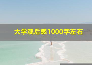 大学观后感1000字左右