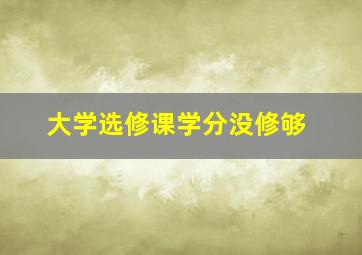 大学选修课学分没修够