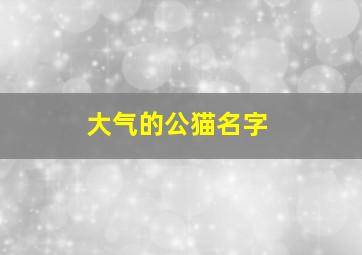 大气的公猫名字