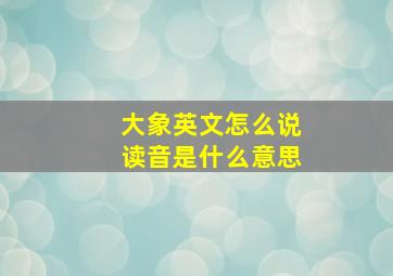 大象英文怎么说读音是什么意思