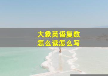 大象英语复数怎么读怎么写