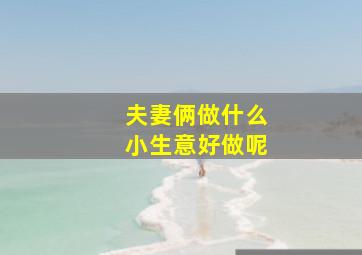 夫妻俩做什么小生意好做呢