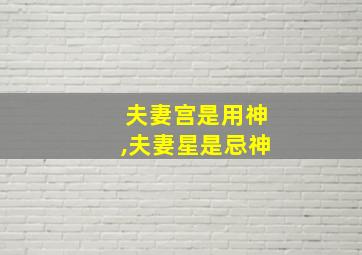 夫妻宫是用神,夫妻星是忌神