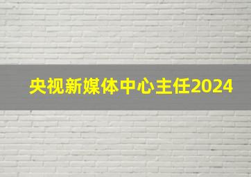 央视新媒体中心主任2024