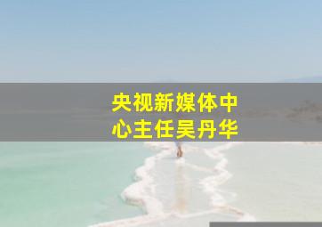 央视新媒体中心主任吴丹华