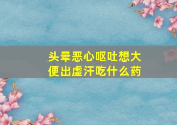 头晕恶心呕吐想大便出虚汗吃什么药