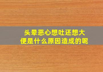 头晕恶心想吐还想大便是什么原因造成的呢