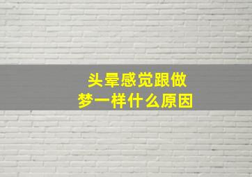 头晕感觉跟做梦一样什么原因