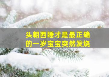 头朝西睡才是最正确的一岁宝宝突然发烧