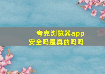 夸克浏览器app安全吗是真的吗吗