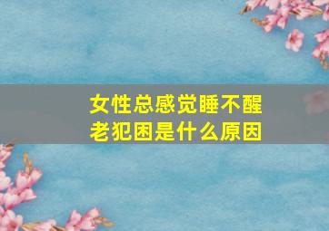 女性总感觉睡不醒老犯困是什么原因