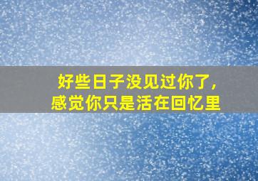 好些日子没见过你了,感觉你只是活在回忆里