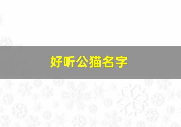 好听公猫名字