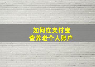 如何在支付宝查养老个人账户