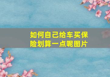 如何自己给车买保险划算一点呢图片