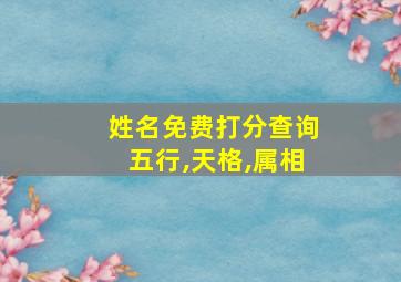 姓名免费打分查询五行,天格,属相