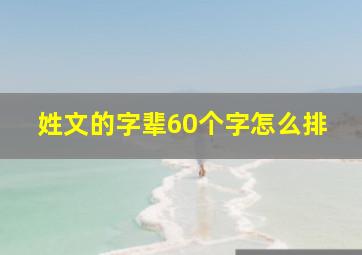 姓文的字辈60个字怎么排