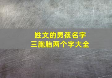 姓文的男孩名字三胞胎两个字大全