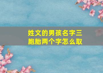 姓文的男孩名字三胞胎两个字怎么取