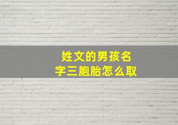 姓文的男孩名字三胞胎怎么取