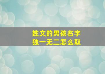 姓文的男孩名字独一无二怎么取