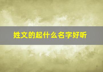 姓文的起什么名字好听