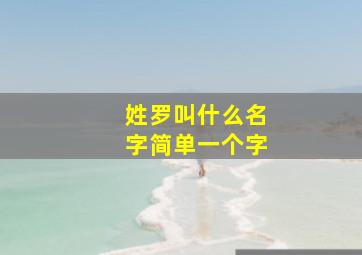 姓罗叫什么名字简单一个字