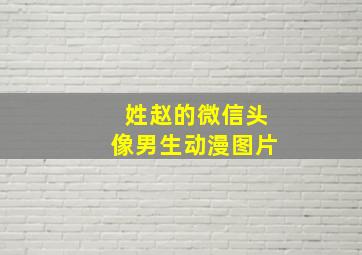 姓赵的微信头像男生动漫图片