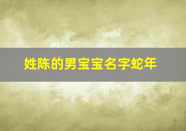 姓陈的男宝宝名字蛇年