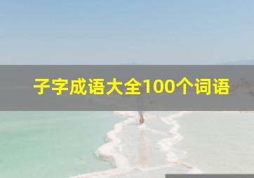 子字成语大全100个词语