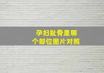 孕妇趾骨是哪个部位图片对照