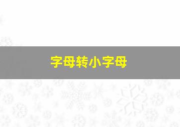 字母转小字母