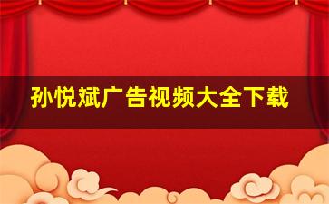 孙悦斌广告视频大全下载