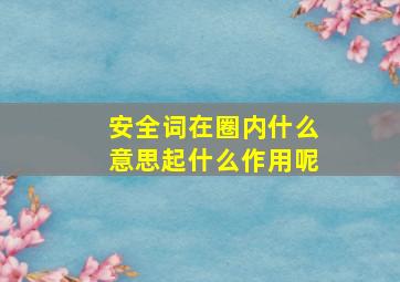 安全词在圈内什么意思起什么作用呢