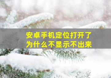 安卓手机定位打开了为什么不显示不出来